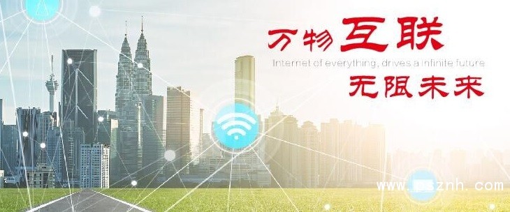 LEEG单晶硅压力草莓视频APP色版新产品发布，敬请期待！